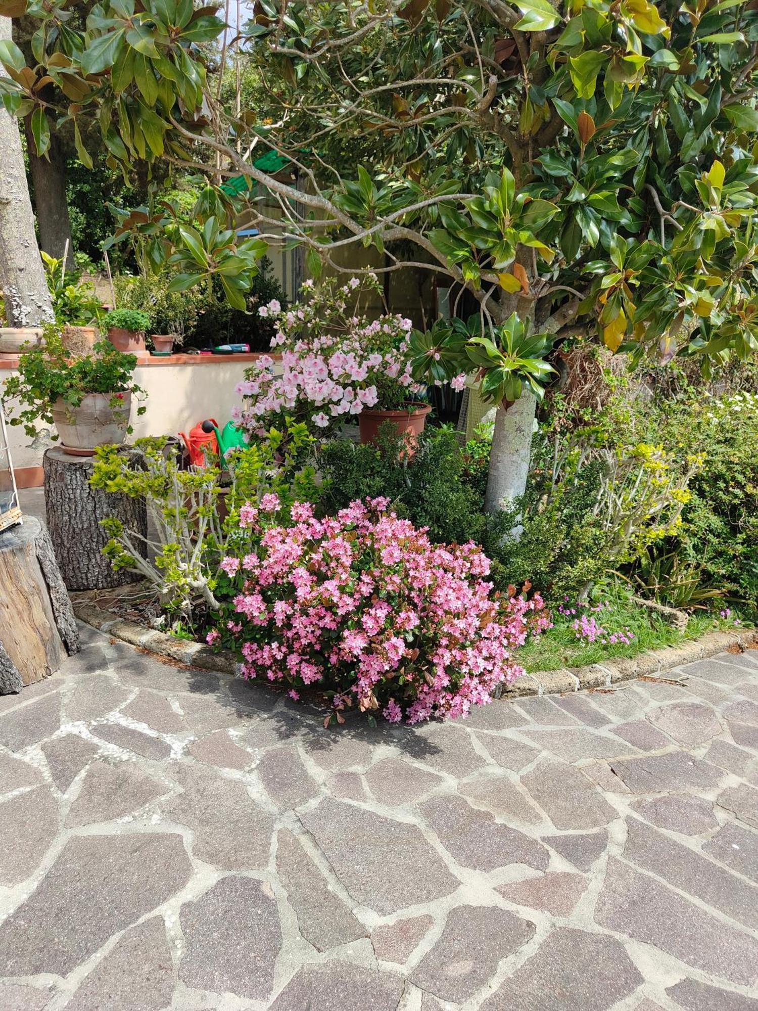 Il Diacciarello Apartment Gabbro Luaran gambar