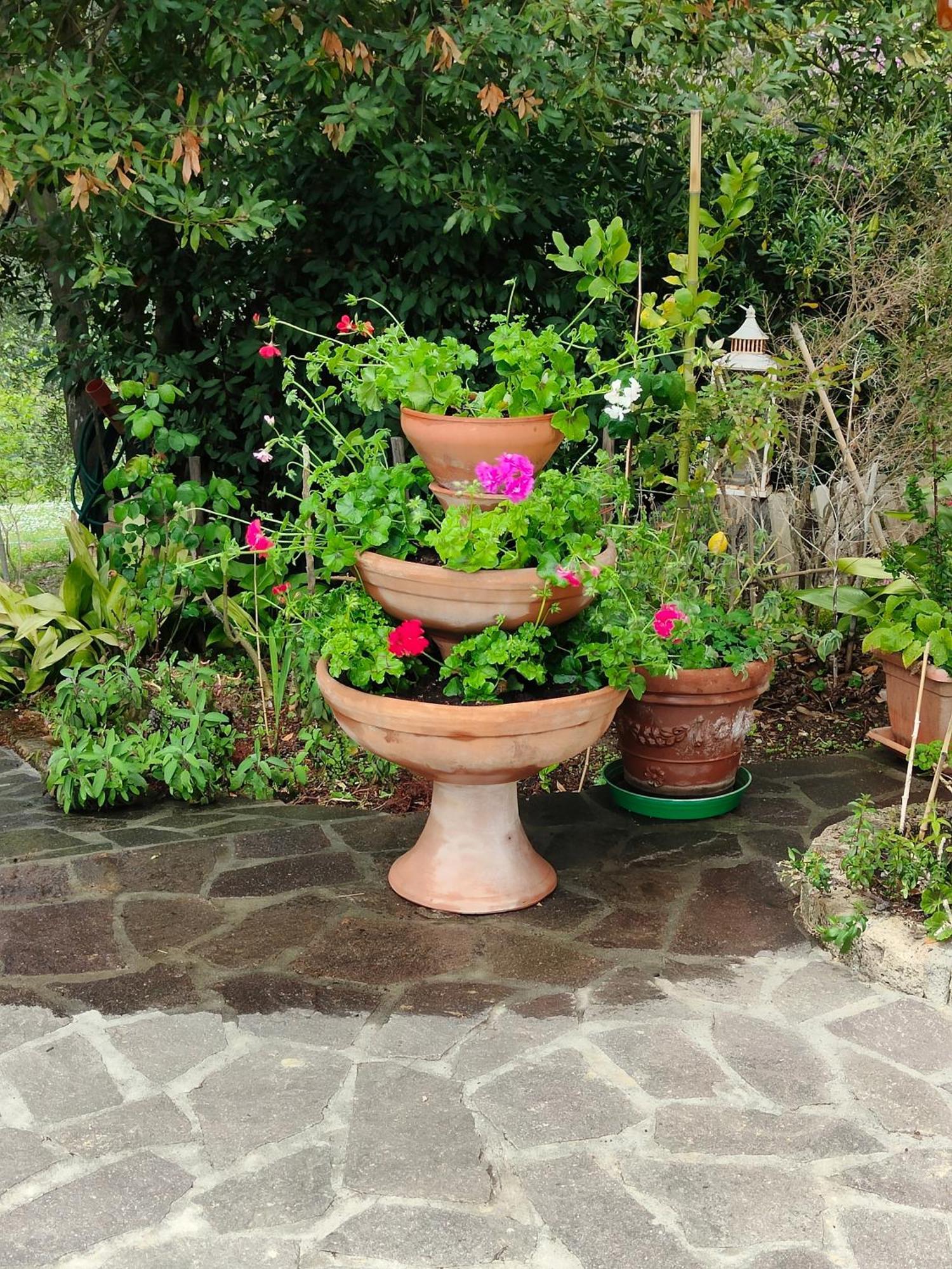 Il Diacciarello Apartment Gabbro Luaran gambar